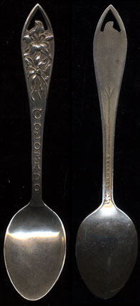 Colorado Flowers Sterling Silver Souvenir Spoon