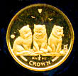 Isle of Man 2006 Exotic Shorthair Kittens Gold Coin