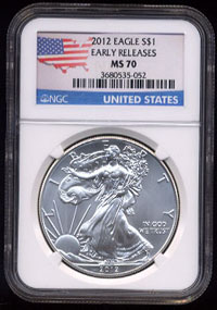 Flab Slab NGC MS-70 Graded Eagle American Flag Country Cut Design